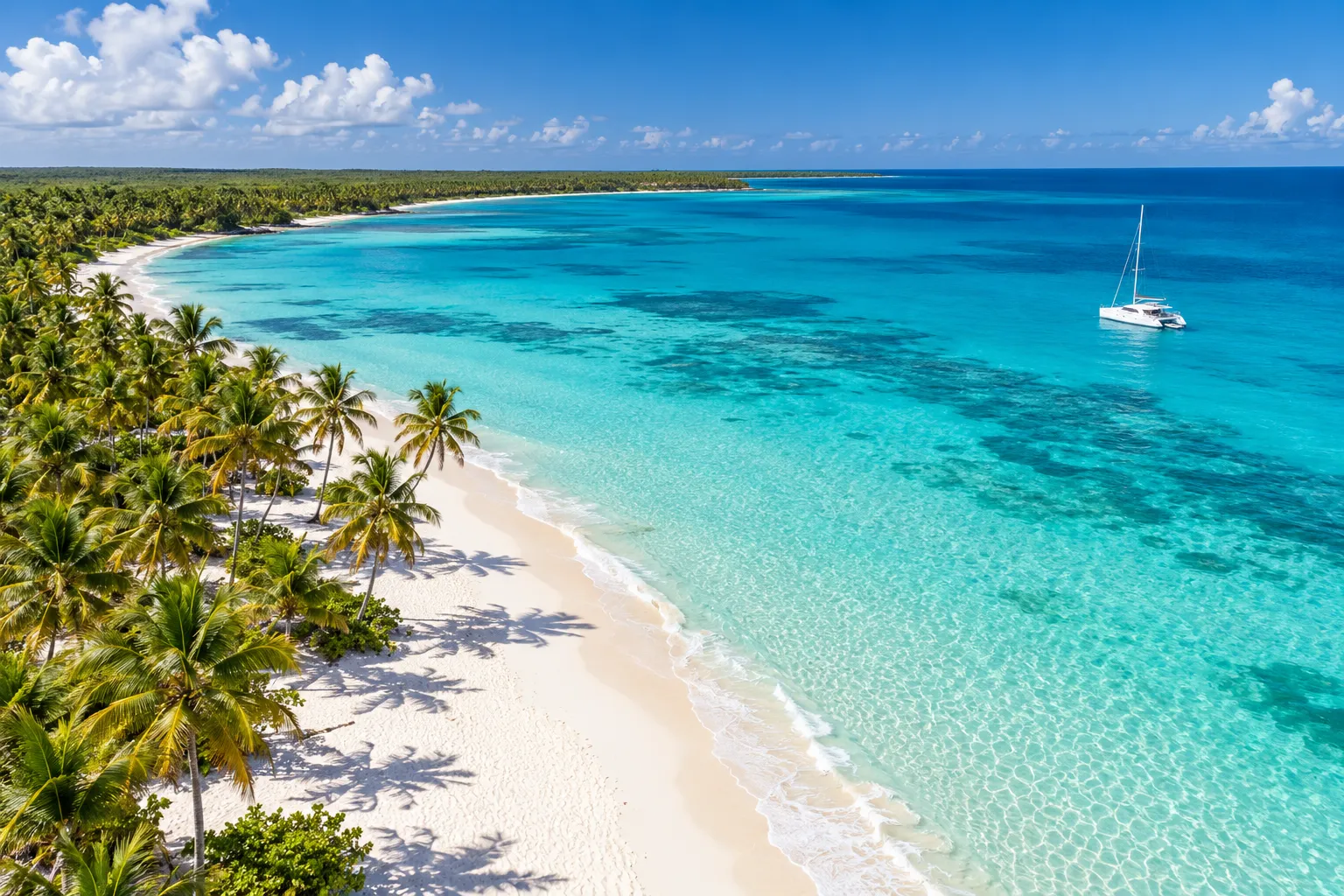 Concepto de playa caribeña con palmeras y aguas turquesas